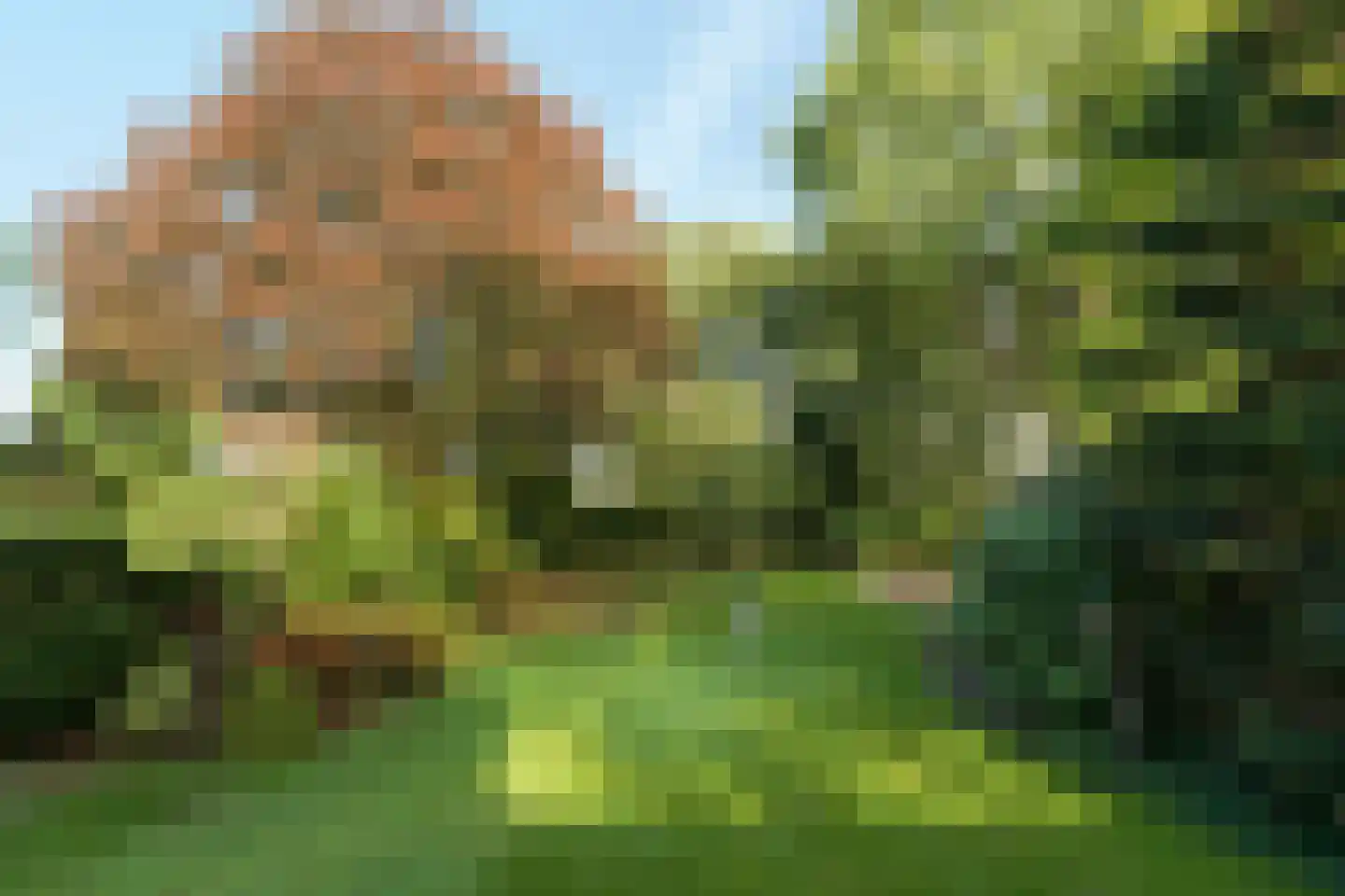 Meester Bierensweg 9 A Prinsenbeek thumbnail 30