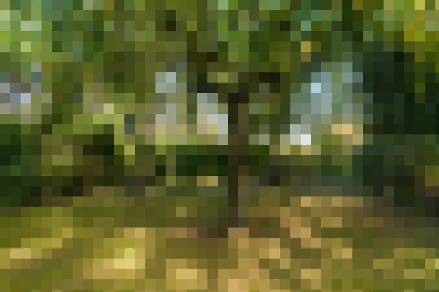 Meester Bierensweg 9 A Prinsenbeek thumbnail 31