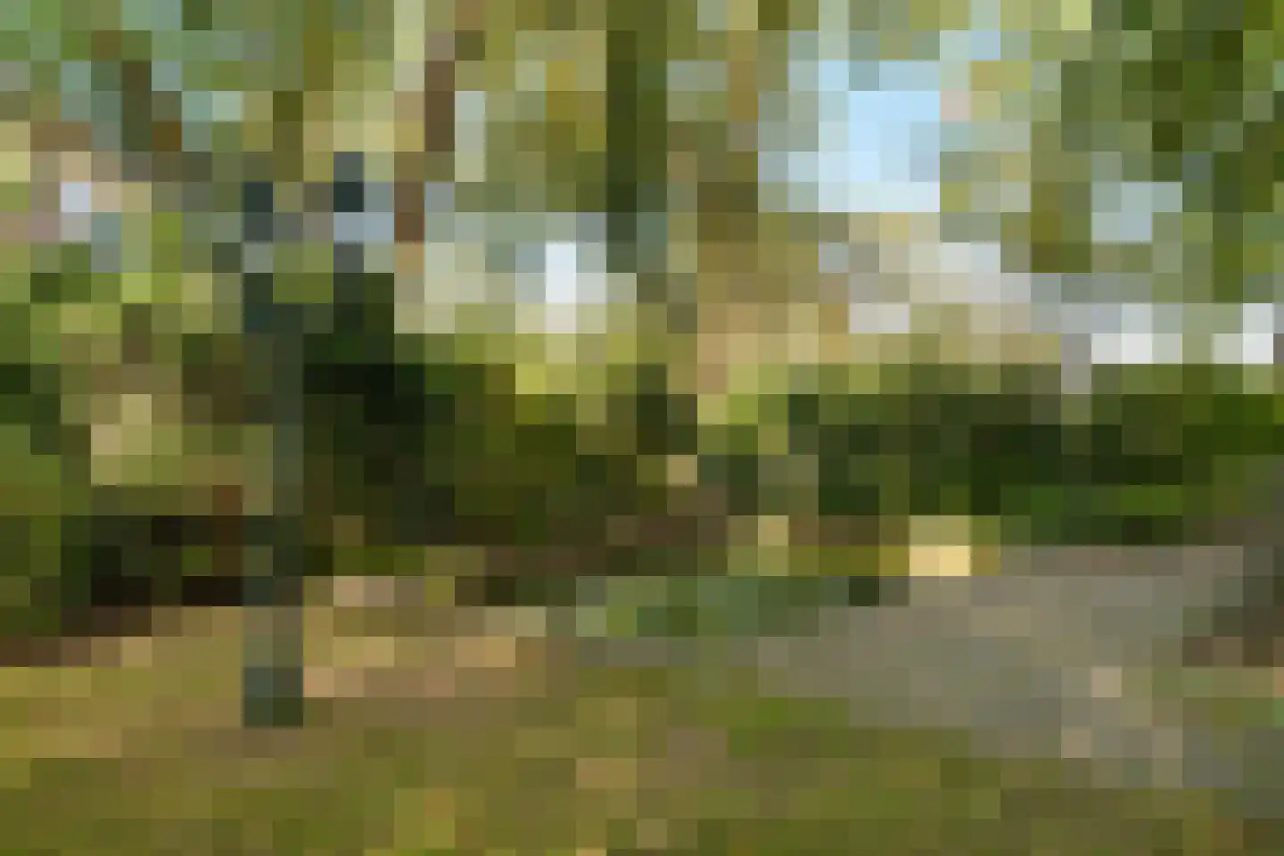 Meester Bierensweg 9 A Prinsenbeek thumbnail 32