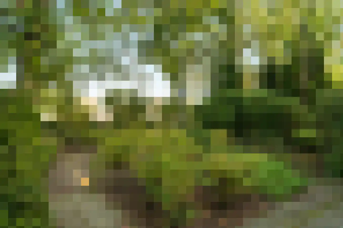 Meester Bierensweg 9 A Prinsenbeek thumbnail 33