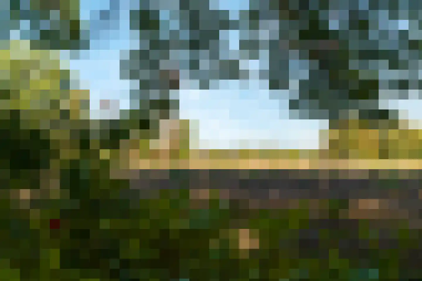 Meester Bierensweg 9 A Prinsenbeek thumbnail 34