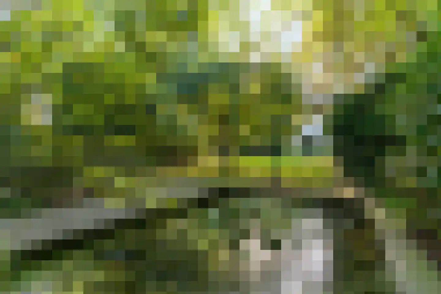 Meester Bierensweg 9 A Prinsenbeek thumbnail 35