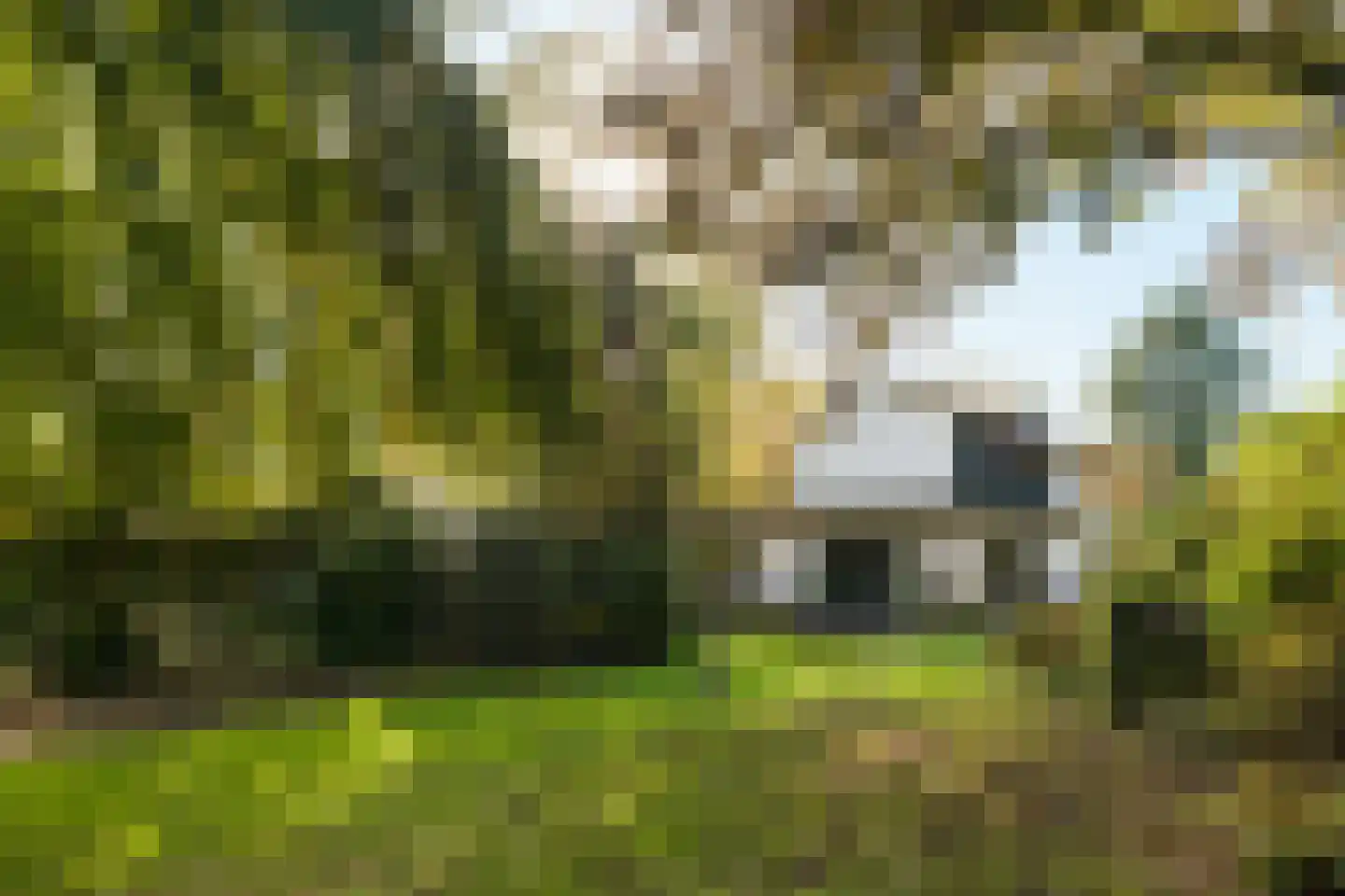 Meester Bierensweg 9 A Prinsenbeek thumbnail 37