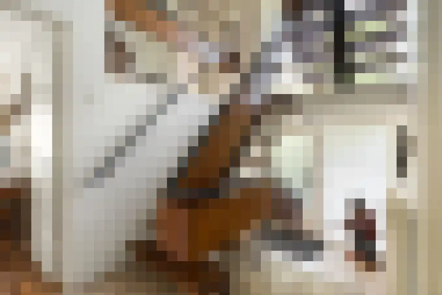 Meester Bierensweg 9 A Prinsenbeek thumbnail 4