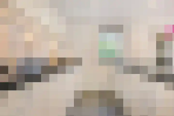 Meester Bierkuslaan 13 's-Hertogenbosch thumbnail 14
