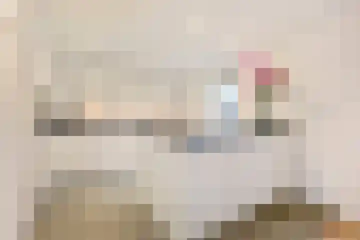 Meester Bierkuslaan 13 's-Hertogenbosch thumbnail 16