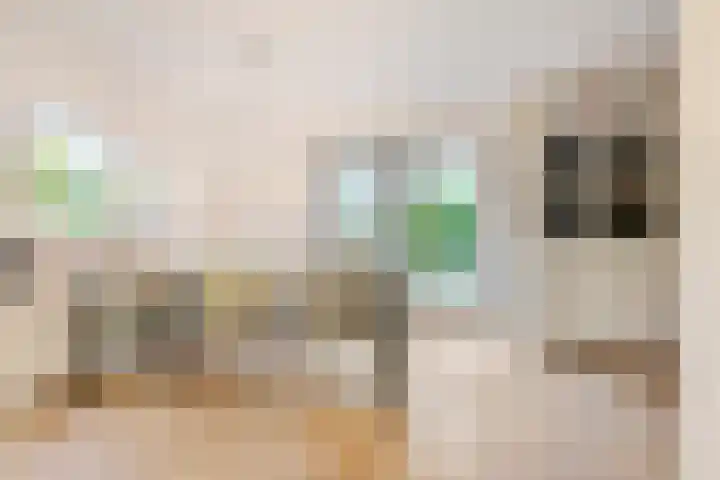Meester Bierkuslaan 13 's-Hertogenbosch thumbnail 18
