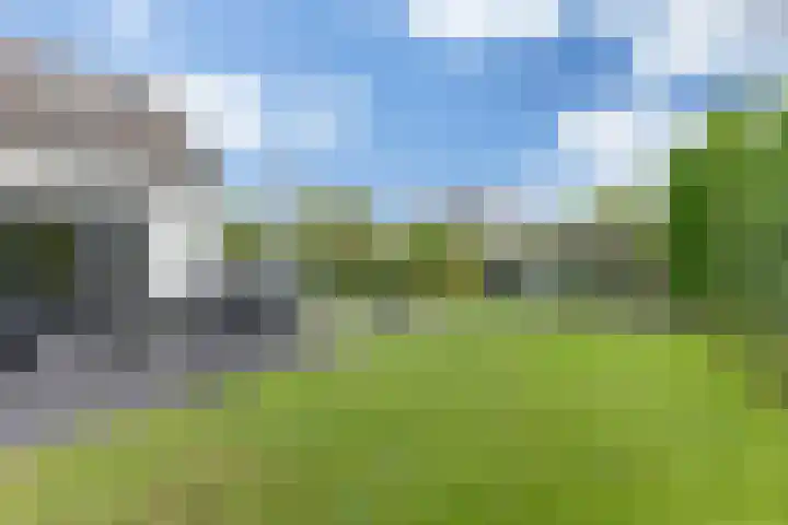 Meester Bierkuslaan 13 's-Hertogenbosch thumbnail 19