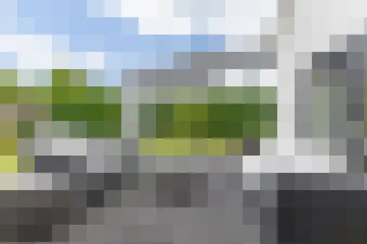 Meester Bierkuslaan 13 's-Hertogenbosch thumbnail 20