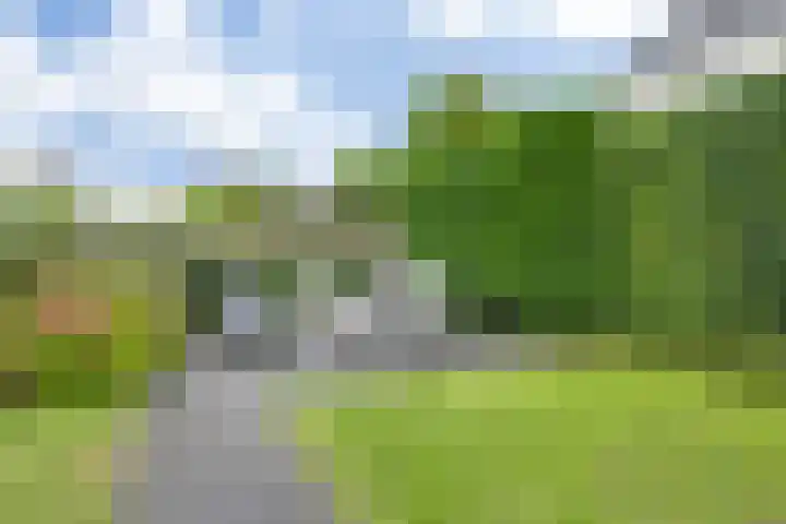 Meester Bierkuslaan 13 's-Hertogenbosch thumbnail 22