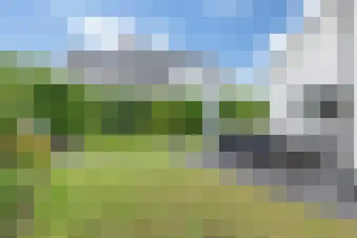 Meester Bierkuslaan 13 's-Hertogenbosch thumbnail 24