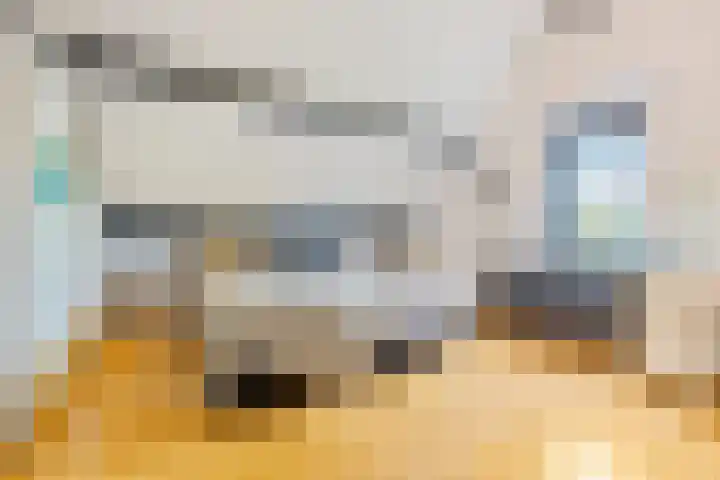 Meester Bierkuslaan 13 's-Hertogenbosch thumbnail 27
