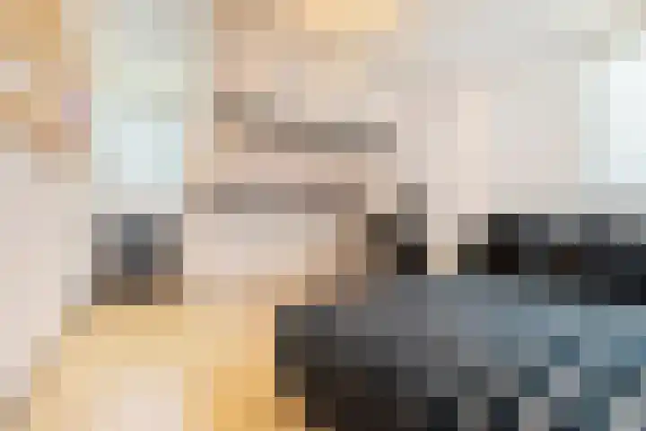 Meester Bierkuslaan 13 's-Hertogenbosch thumbnail 29