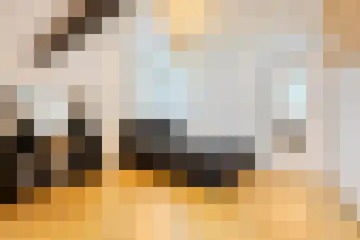 Meester Bierkuslaan 13 's-Hertogenbosch thumbnail 30