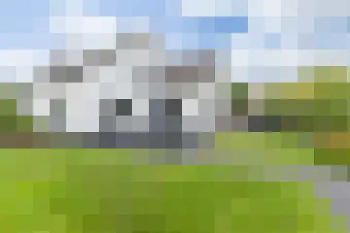 Meester Bierkuslaan 13 's-Hertogenbosch thumbnail 44