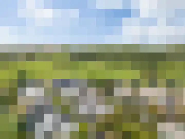 Meester Bierkuslaan 13 's-Hertogenbosch thumbnail 48