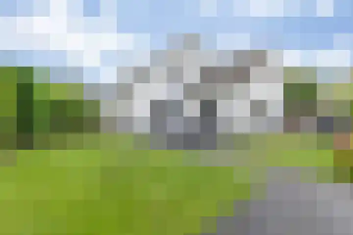 Meester Bierkuslaan 13 's-Hertogenbosch thumbnail 5