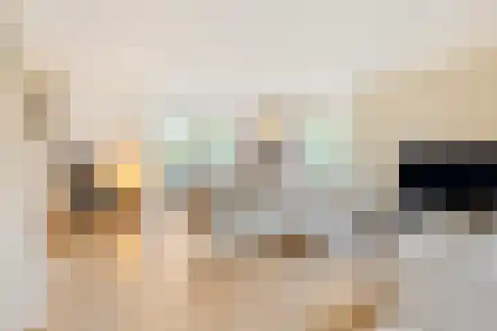 Meester Bierkuslaan 13 's-Hertogenbosch thumbnail 8