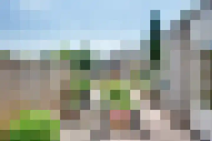 Meester Bierkuslaan 33 's-Hertogenbosch thumbnail 26