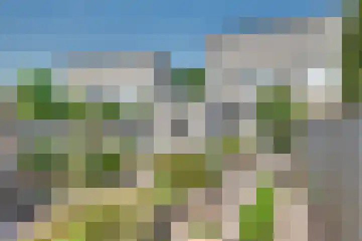 Meester Bierkuslaan 33 's-Hertogenbosch thumbnail 29