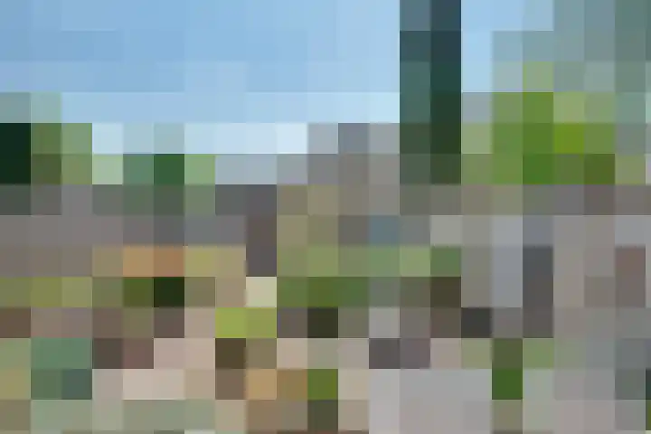 Meester Bierkuslaan 33 's-Hertogenbosch thumbnail 30