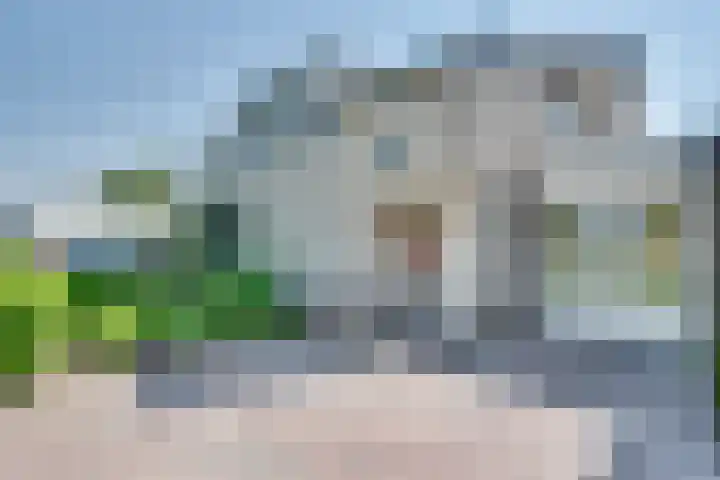 Meester Bierkuslaan 33 's-Hertogenbosch thumbnail 31