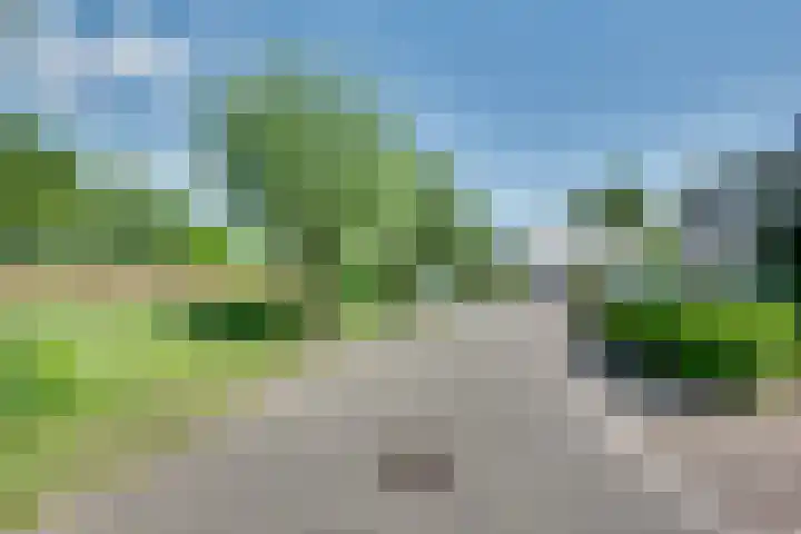 Meester Bierkuslaan 33 's-Hertogenbosch thumbnail 33
