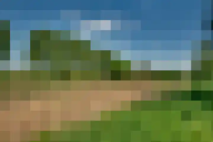 Meester Bierkuslaan 33 's-Hertogenbosch thumbnail 34