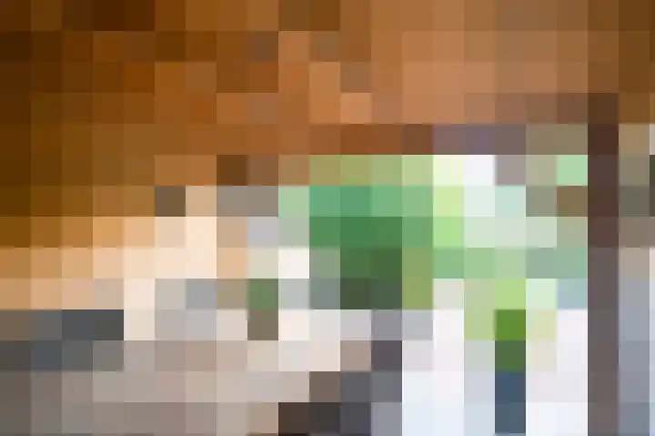 Meester Boelenweg 60 Uddel thumbnail 10