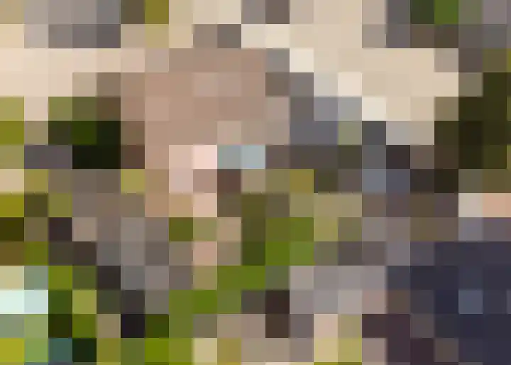 Meester Boelenweg 60 Uddel thumbnail 15