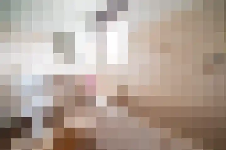 Meester Boelenweg 60 Uddel thumbnail 34