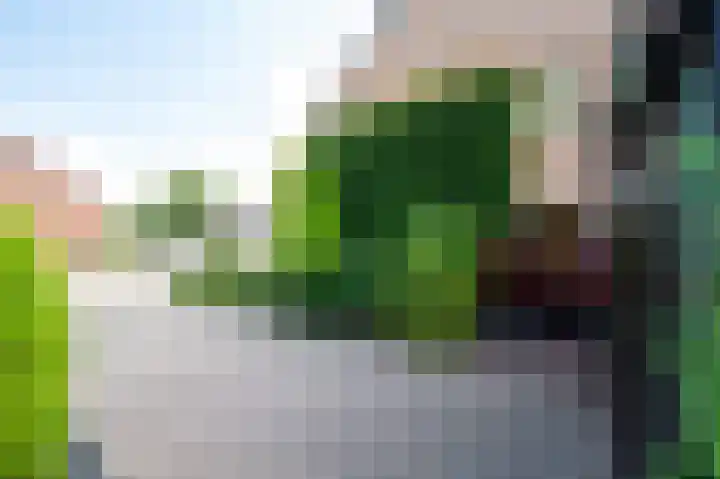 Meester Boelenweg 60 Uddel thumbnail 4