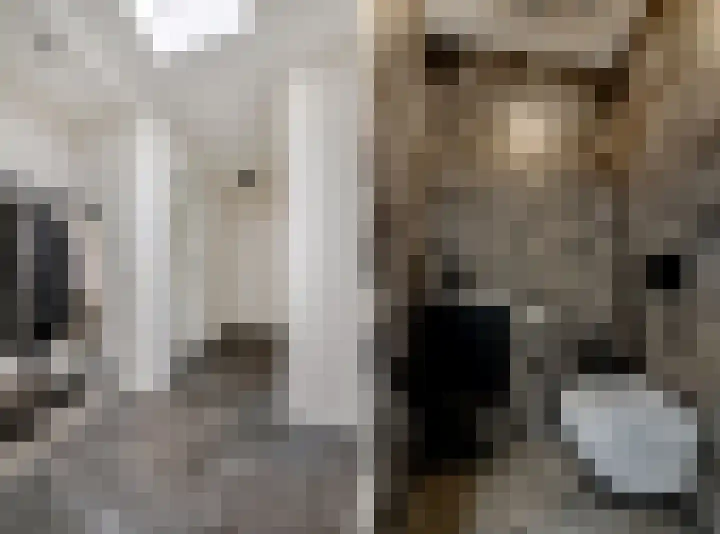 Meester Bosweg 10 Leersum thumbnail 13