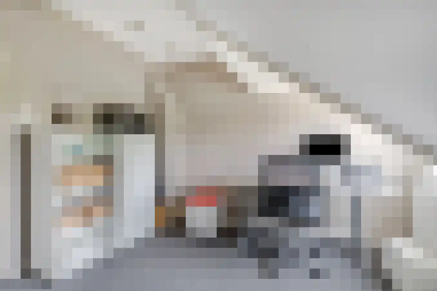 Meester Bosweg 10 Leersum thumbnail 27