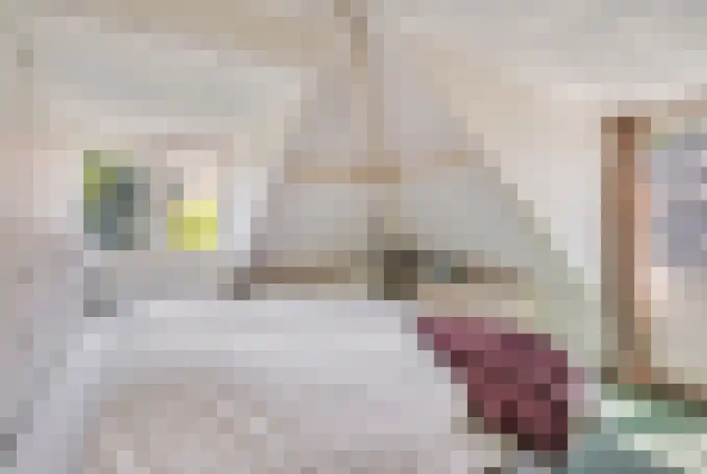 Meester Bosweg 10 Leersum thumbnail 28
