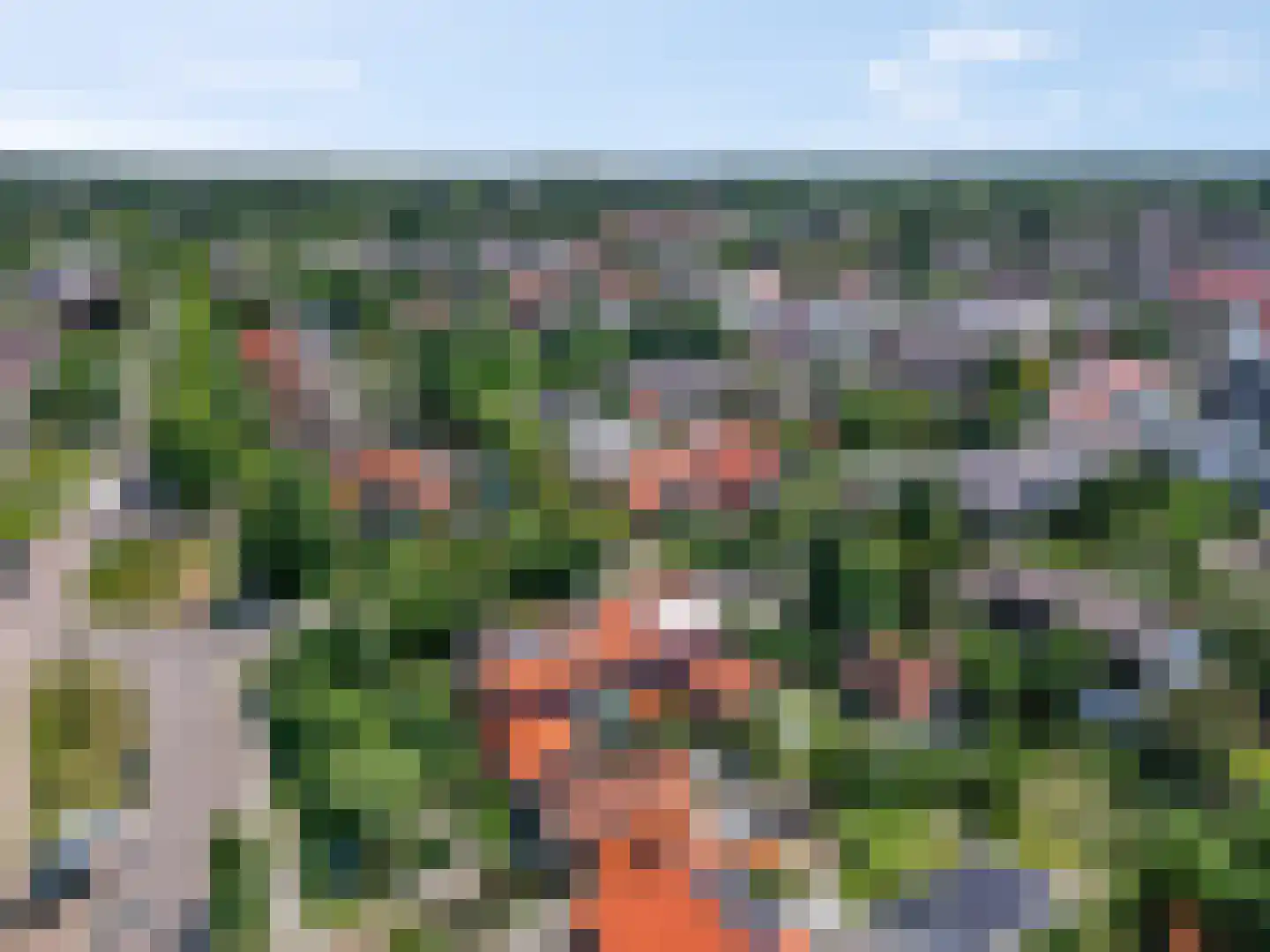 Meester Bosweg 10 Leersum thumbnail 43