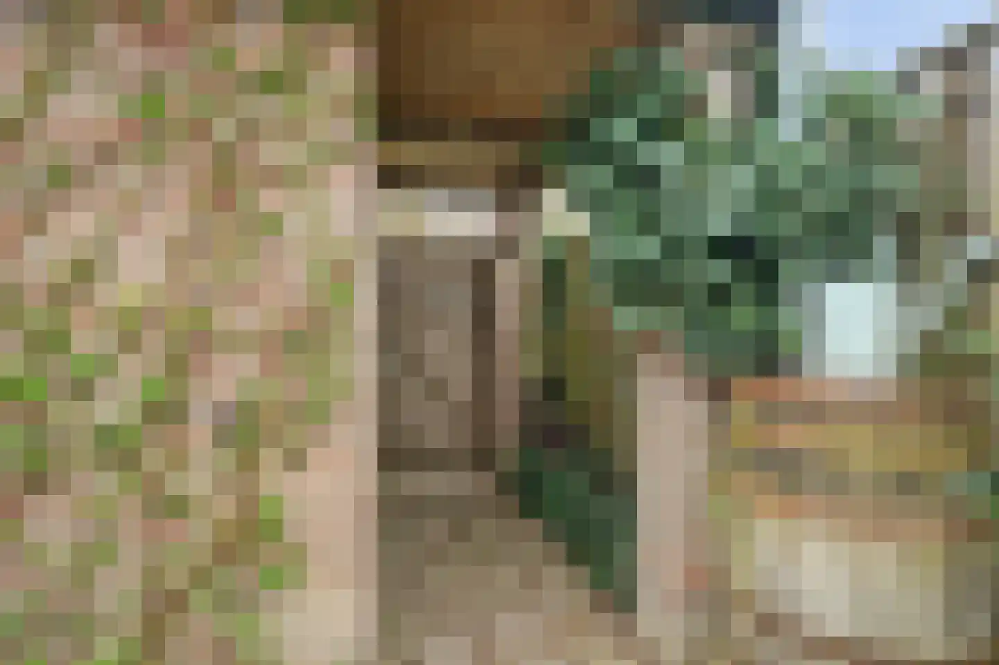 Meester Boutenstraat 17 Ooij thumbnail 18