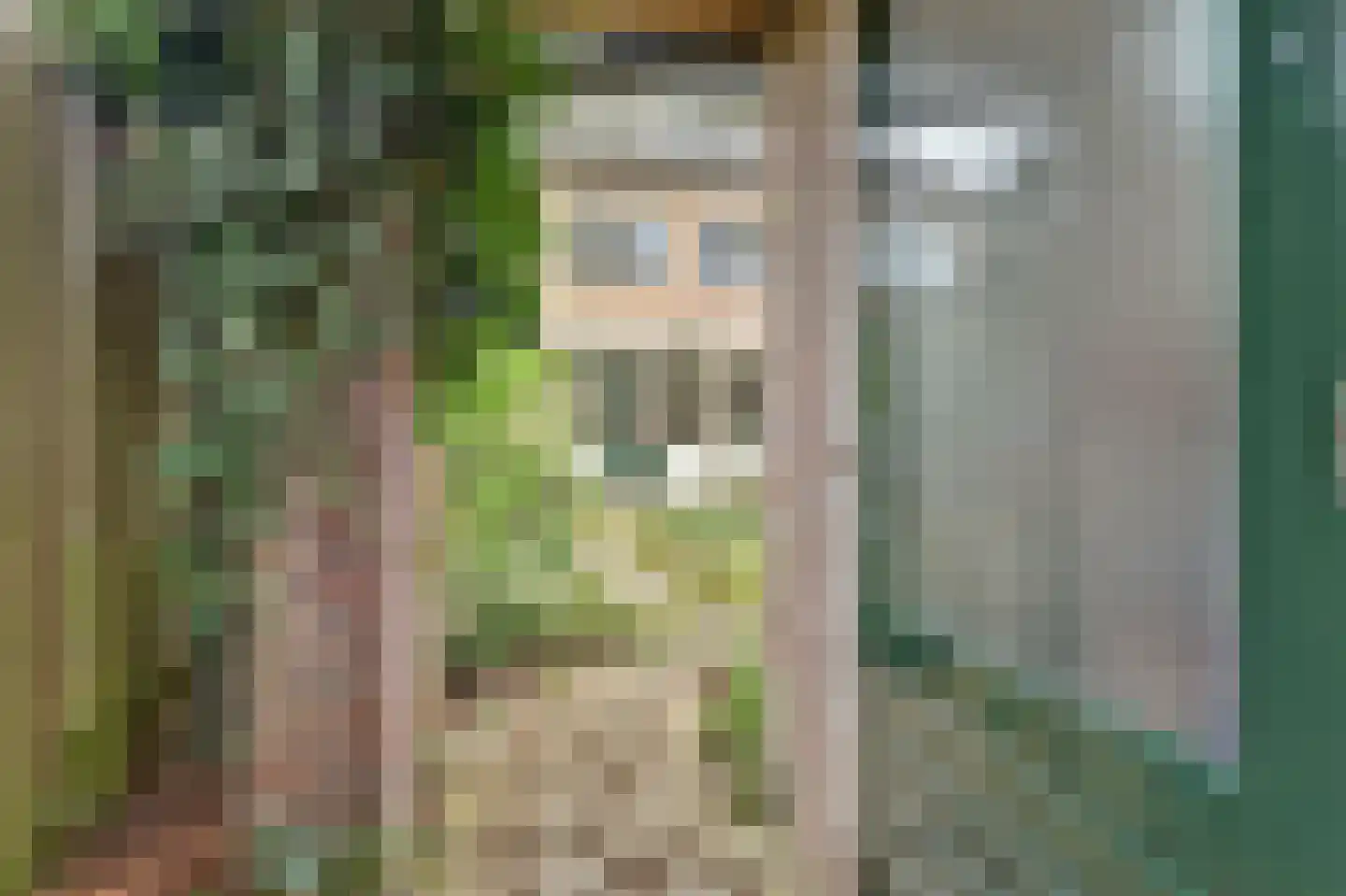 Meester Boutenstraat 17 Ooij thumbnail 19
