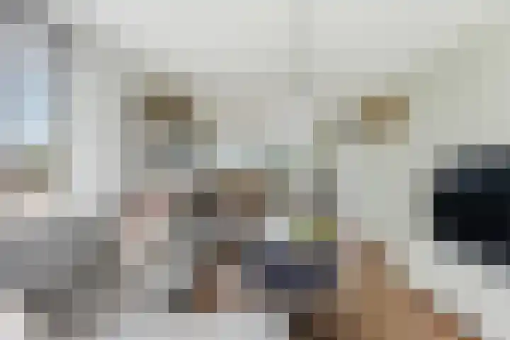 Meester Bouwmanstraat 12 Nieuw-Lekkerland thumbnail 11