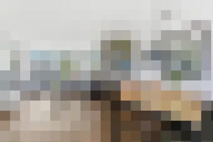 Meester Bouwmanstraat 12 Nieuw-Lekkerland thumbnail 6
