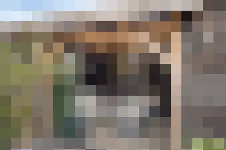 Meester Bouwmanstraat 9 Nieuw-Lekkerland thumbnail 26