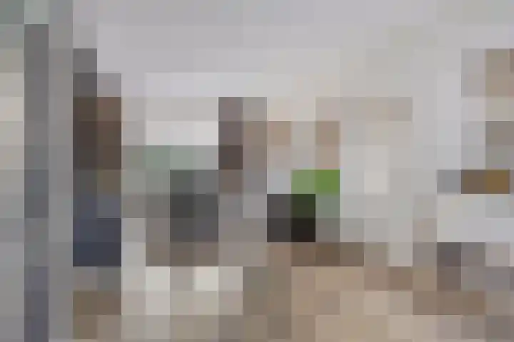 Meester Bouwmanstraat 9 Nieuw-Lekkerland thumbnail 4