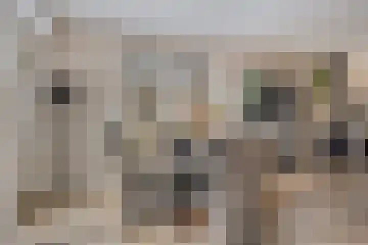 Meester Bouwmanstraat 9 Nieuw-Lekkerland thumbnail 7