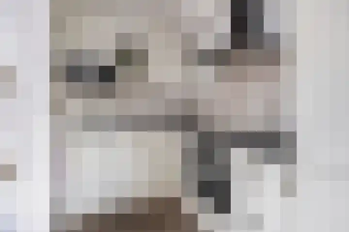 Meester Bouwmanstraat 9 Nieuw-Lekkerland thumbnail 8