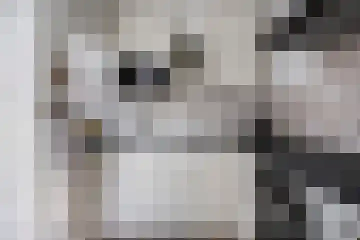 Meester Bouwmanstraat 9 Nieuw-Lekkerland thumbnail 9