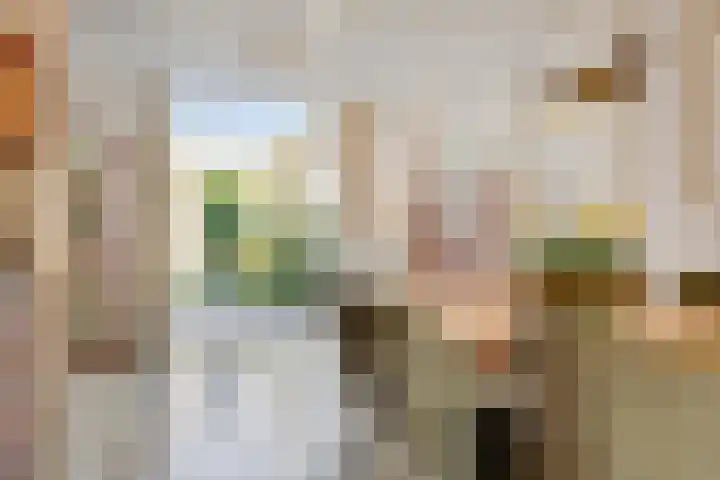 Meester Broerensingel 1 Rosmalen thumbnail 12