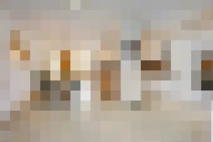 Meester Broerensingel 1 Rosmalen thumbnail 13