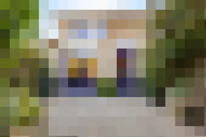 Meester Broerensingel 1 Rosmalen thumbnail 16