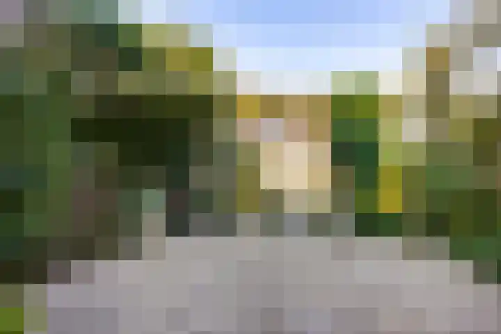 Meester Broerensingel 1 Rosmalen thumbnail 17