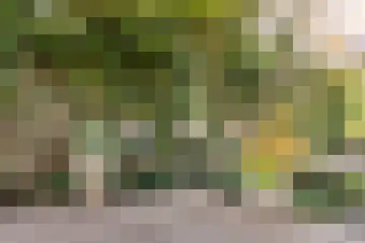 Meester Broerensingel 1 Rosmalen thumbnail 20